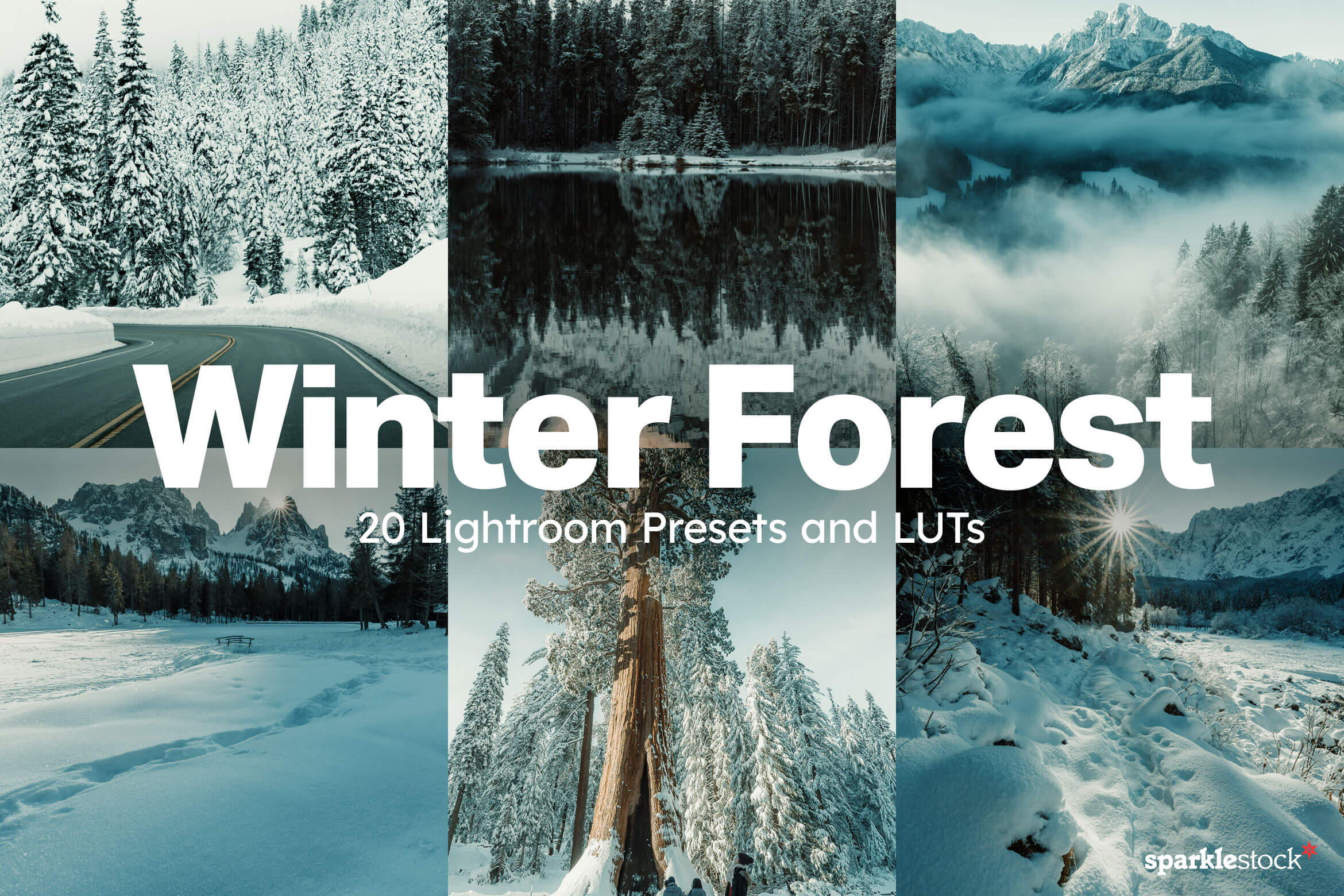 20 Winter Forest Lightroom Presets and LUTs