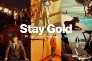 20 Stay Gold Lightroom Presets and LUTs
