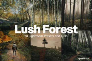 20 Lush Forest Lightroom Presets and LUTs