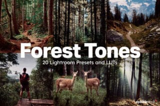 20 Forest Tones Lightroom Presets and LUTs