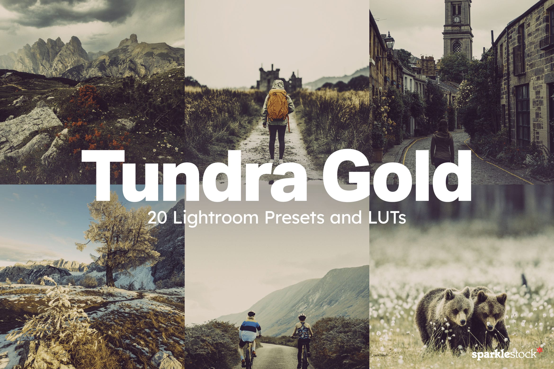 20 Tundra Gold Lightroom Presets and LUTs