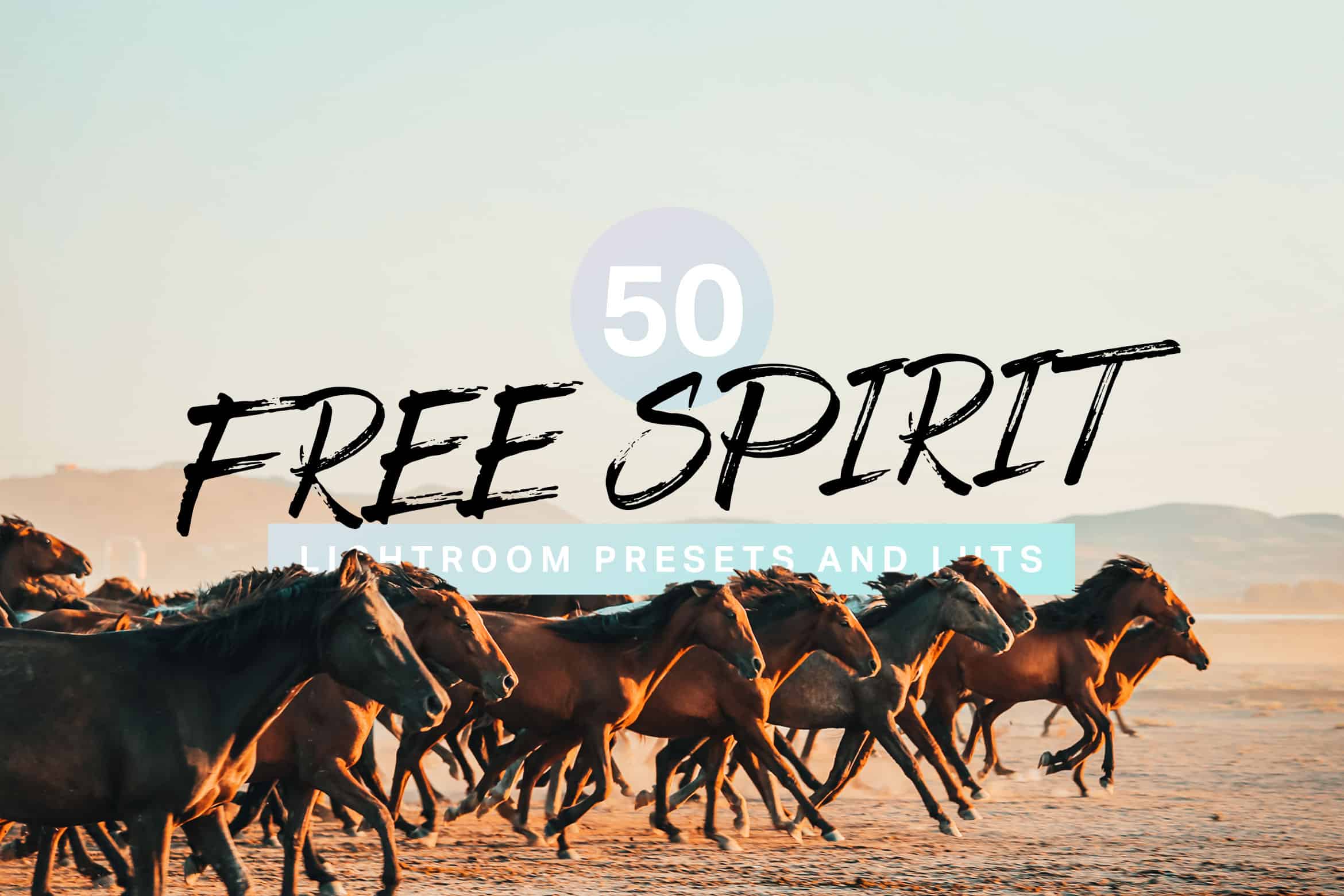 50 Free Spirit Lightroom Presets and LUTs