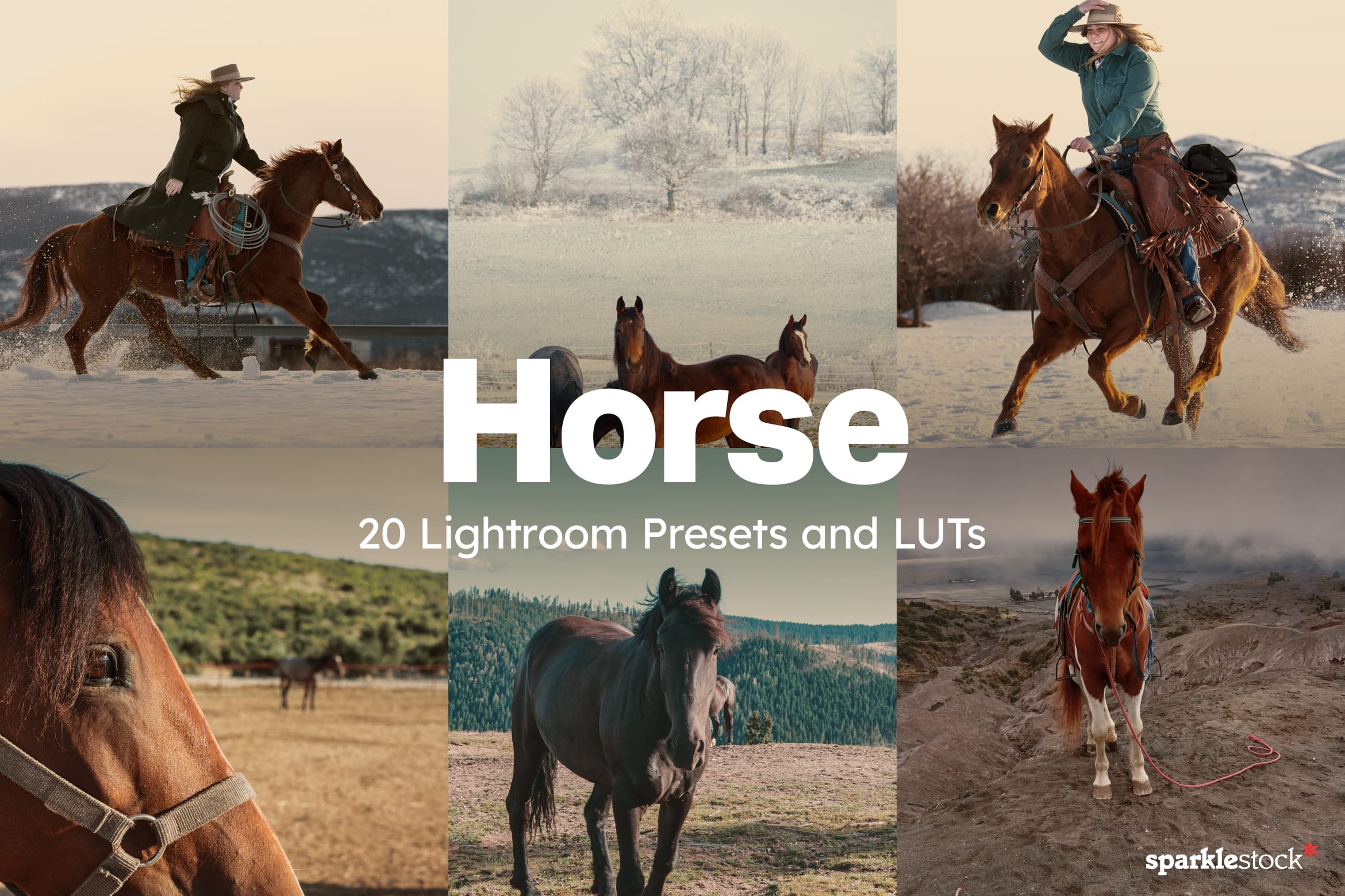 20 Horse Lightroom Presets and LUTs