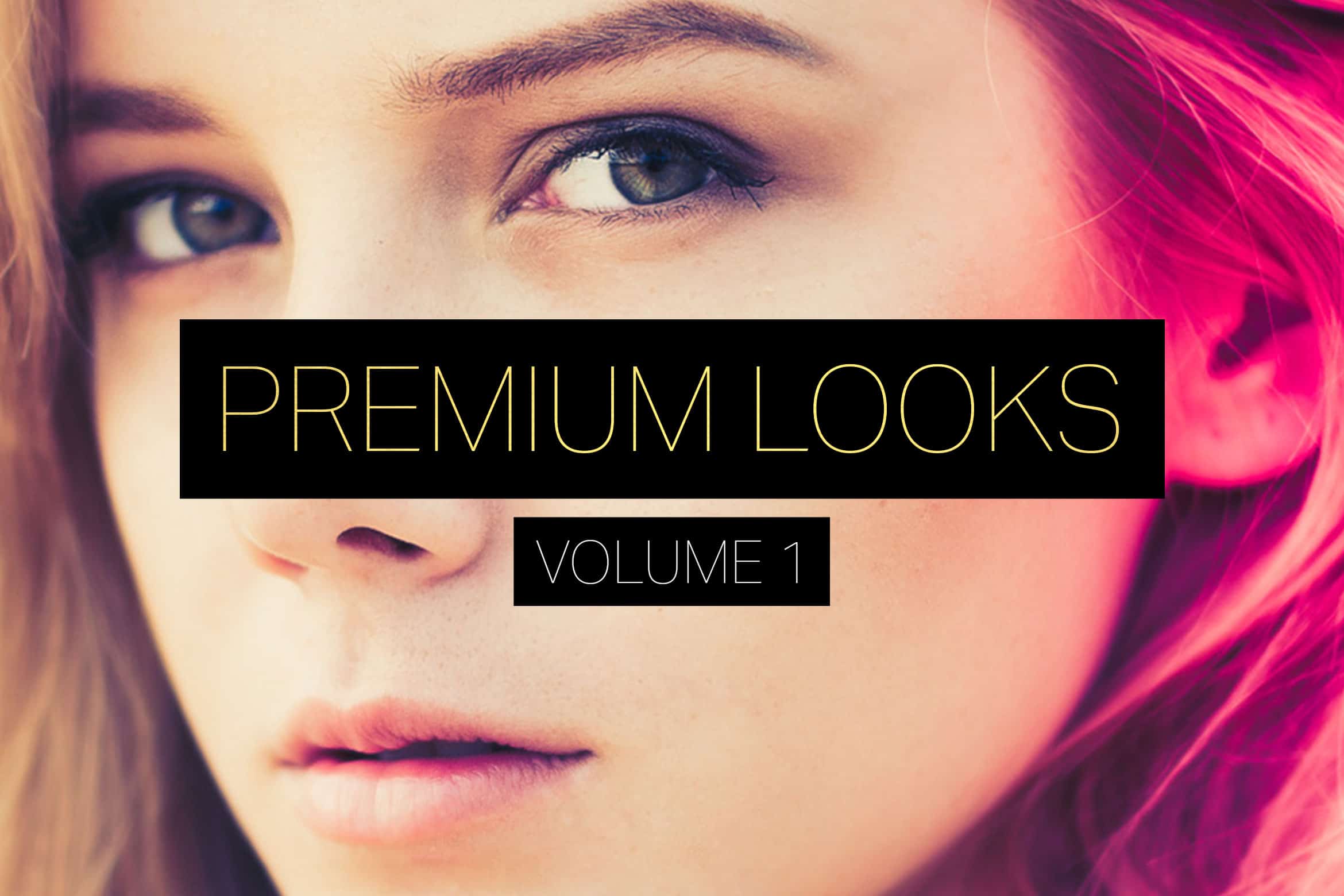 Premium Looks 01 Lightroom Presets