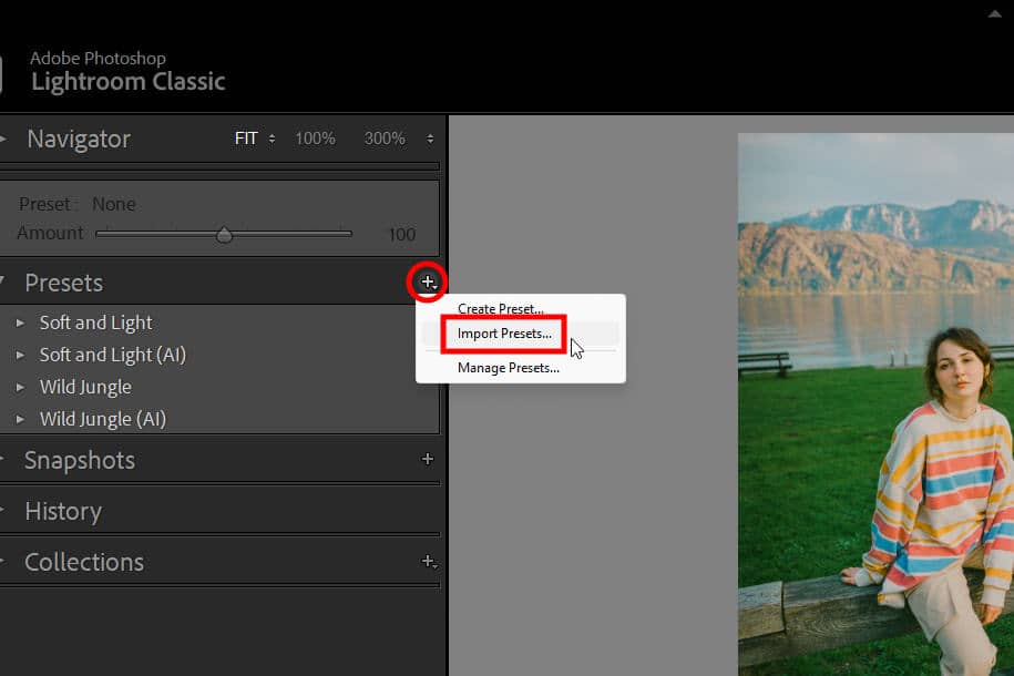 Lightroom Classic interface screenshot with a red outline highlighting the location of the Presets Panel Menu > Import Presets option.