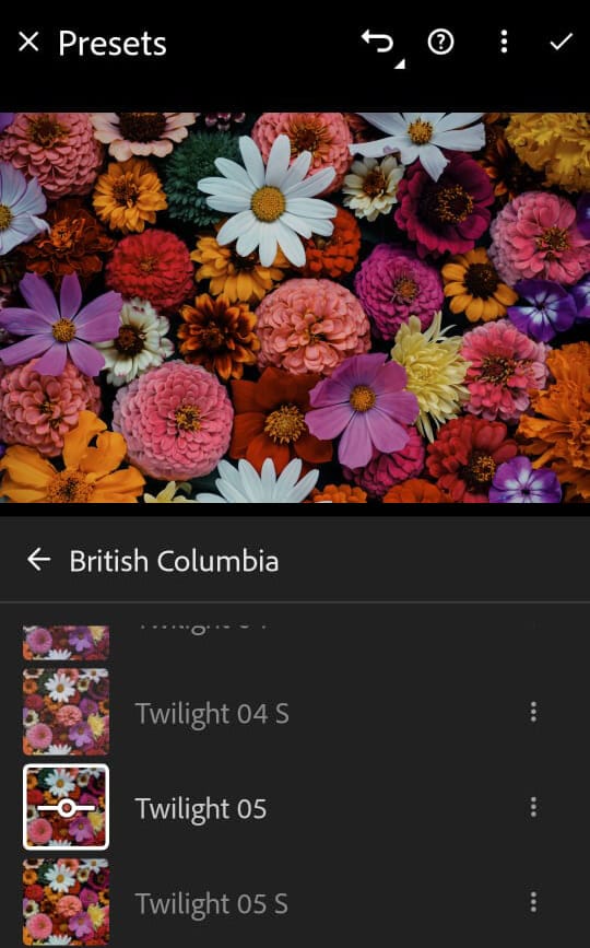 Screenshot of Lightroom mobile interface Presets panel displaying a list of Lightroom presets.