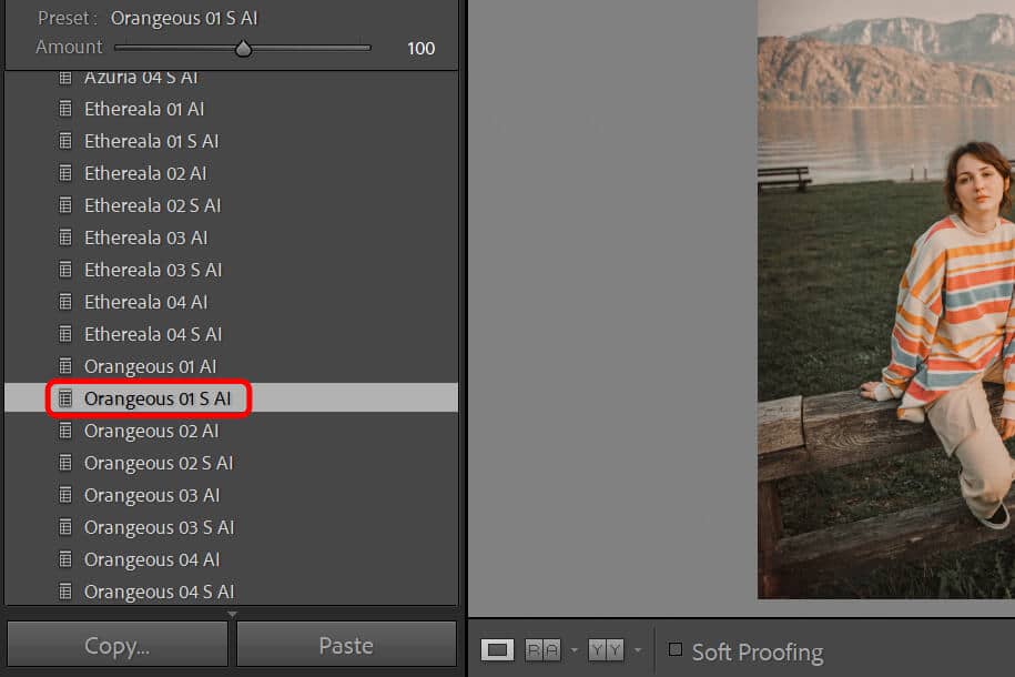 Lightroom Classic interface screenshot with a red outline highlighting the location of a Lightroom preset.