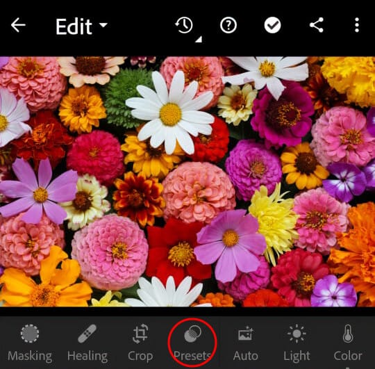 Screenshot of Lightroom mobile interface with a red outlined area highlighting the location of the Presets icon.