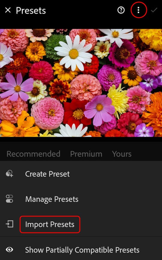 Screenshot of Lightroom mobile interface in the Presets panel, with a red outlined area indicating the location of the panel menu and the "Import Presets" option.