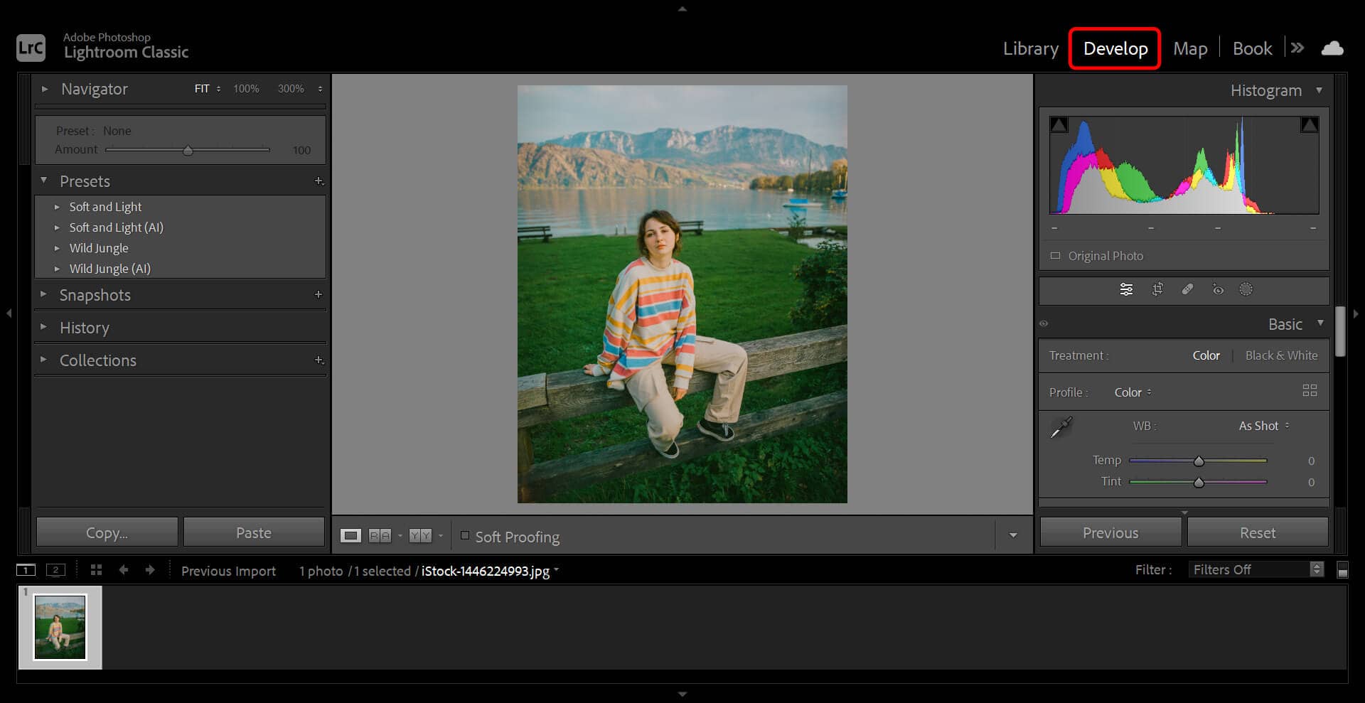 Screenshot of Lightroom Classic interface with a red outline highlighting the location of the Develop tab.