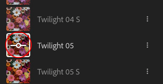 Screenshot of Lightroom preset panel with a red circle highlighting the location of the amount slider icon.