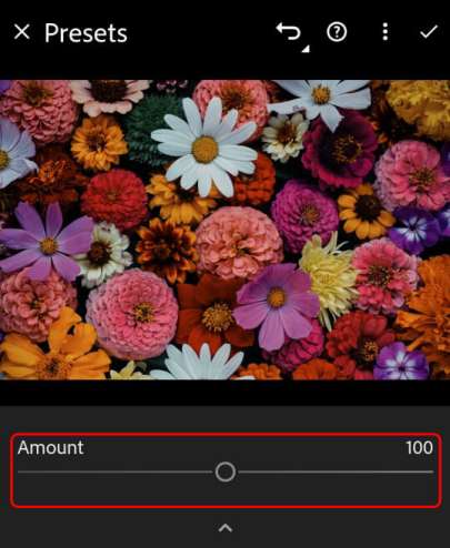Screenshot of Presets panel with a Lightroom preset applied, displaying the Amount slider.
