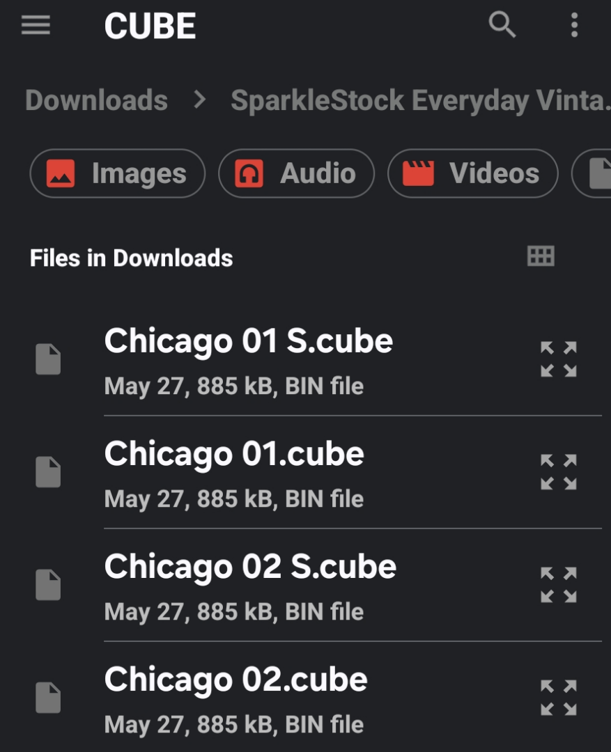 File browser with *.cube LUTs.
