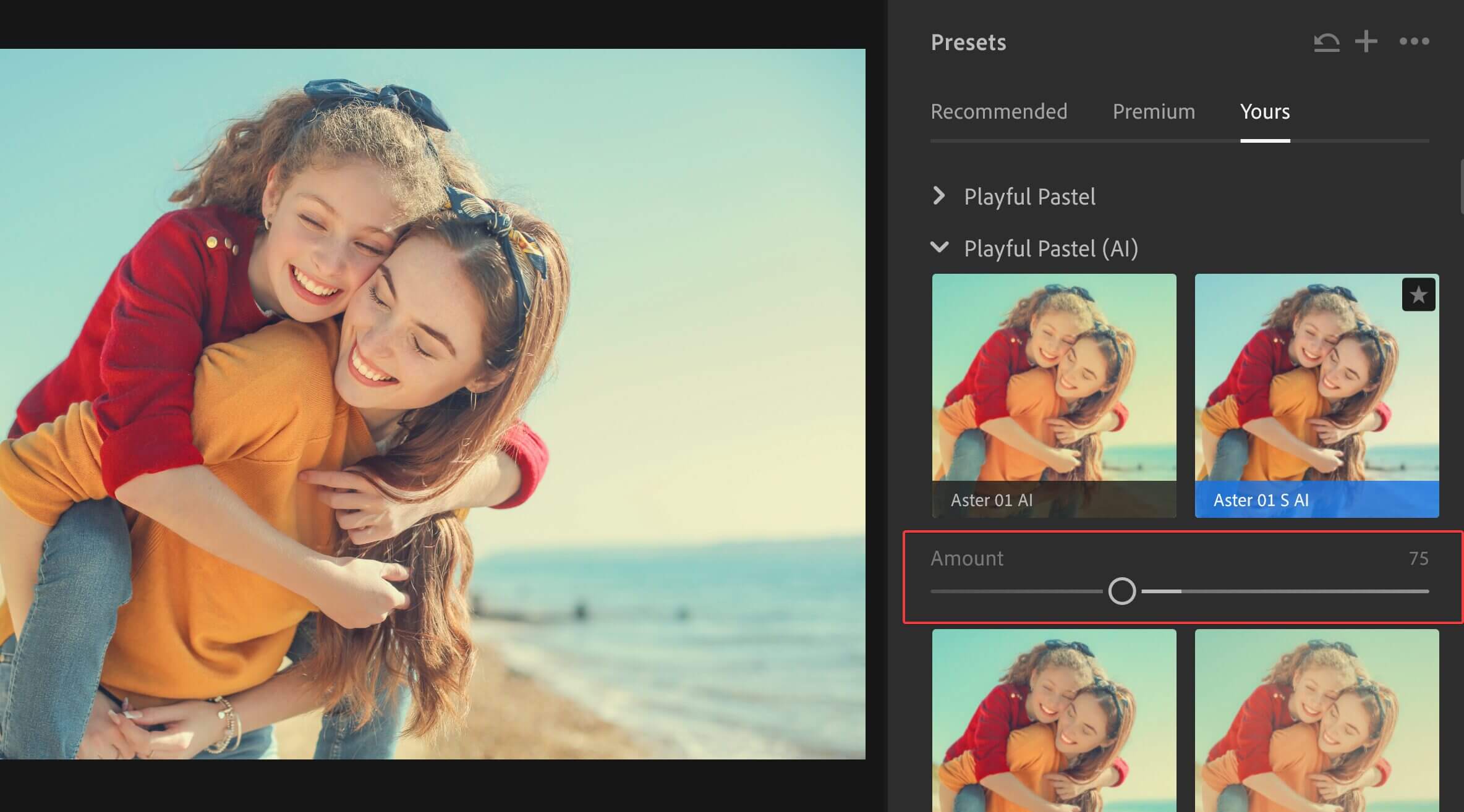 Screenshot of Adobe Photoshop Lightroom showing the preset amount slider.