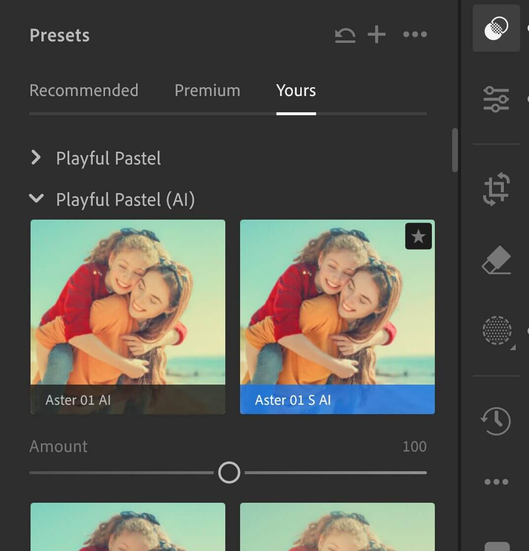 Adobe Photoshop Lightroom interface showing presets from the Presets panel.