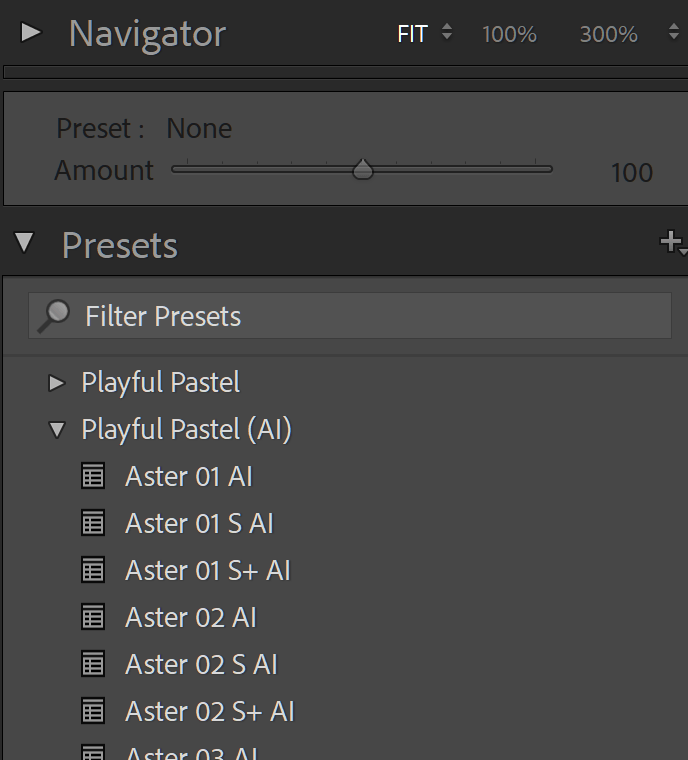 Adobe Photoshop Lightroom Classic interface showing presets from the Presets panel.