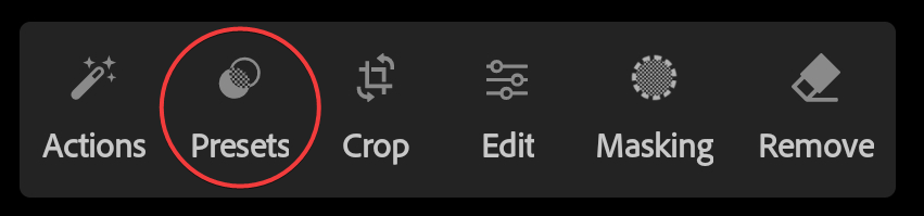Screenshot of Adobe Photoshop Lightroom for Mobile showing the location of the Presets panel icon.