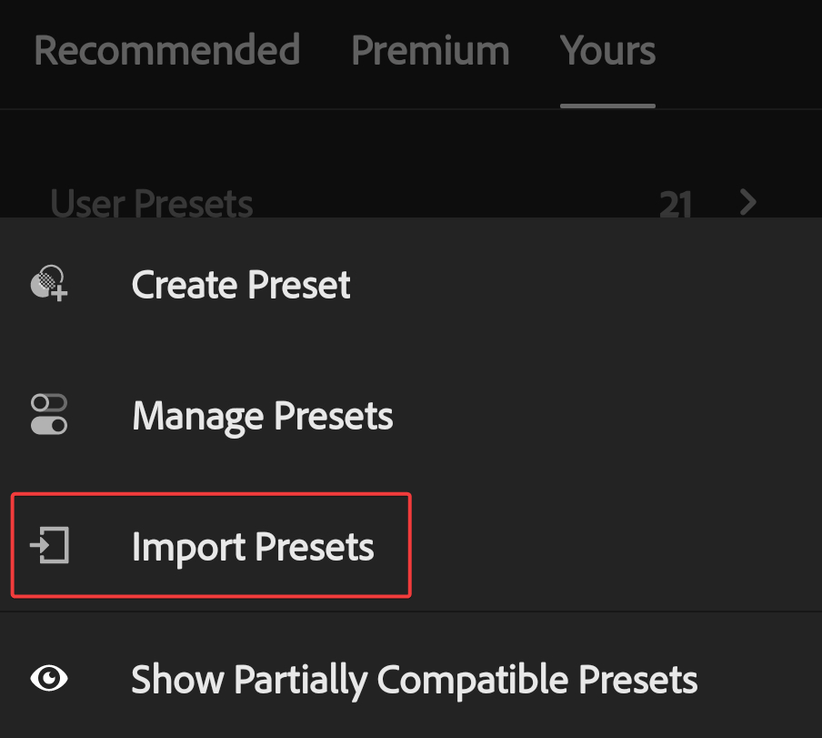 Screenshot of Adobe Photoshop Lightroom for Mobile, displaying options under the "Presets" three-dot menu with "Import Presets" highlighted.