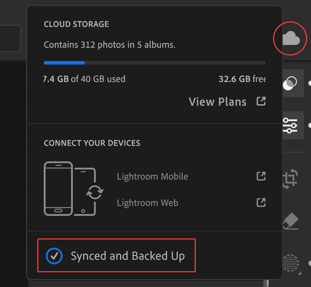 Screenshot of Adobe Photoshop Lightroom showing the location of the "cloud" icon and sync status.
