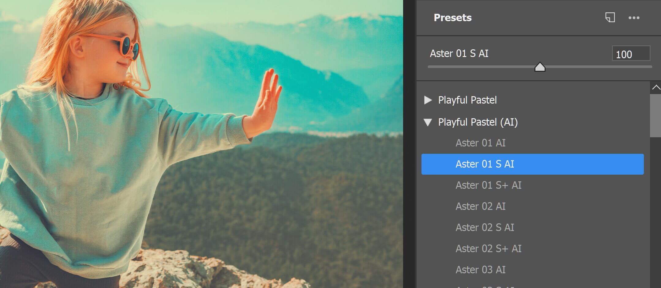 Adobe Camera Raw interface showing presets from the Presets panel.