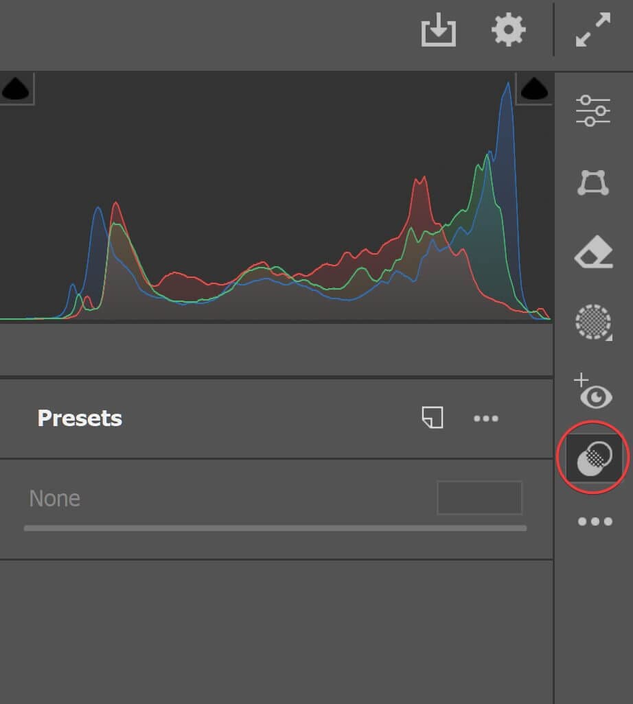 Screenshot of Adobe Camera Raw showing the location of the Presets panel icon.