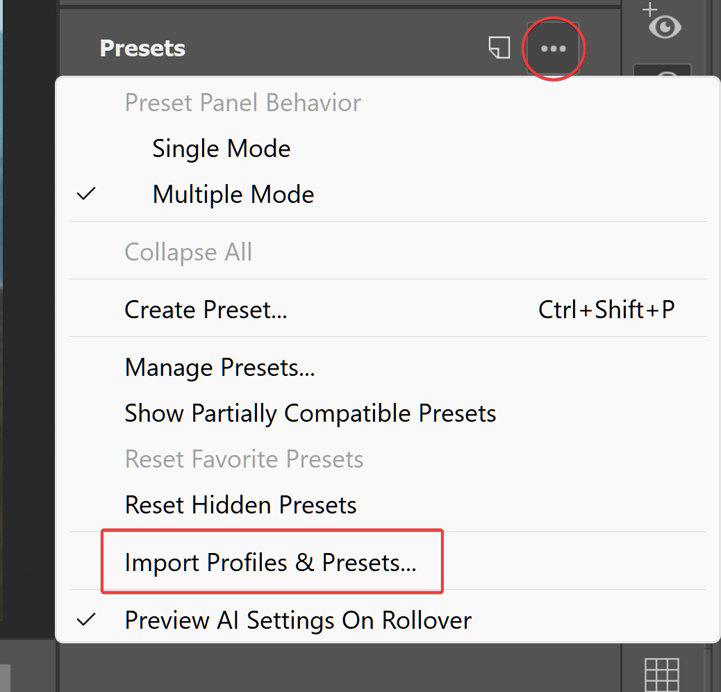 Screenshot of Adobe Camera Raw, displaying options under the "Presets" three-dot menu with "Import Profiles and Presets" highlighted.